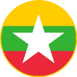 Myanmar cricket team logo